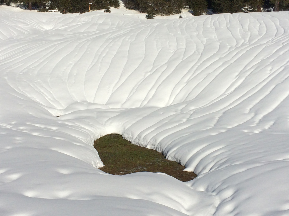 20_Skitag2018_RG_IMG_5732