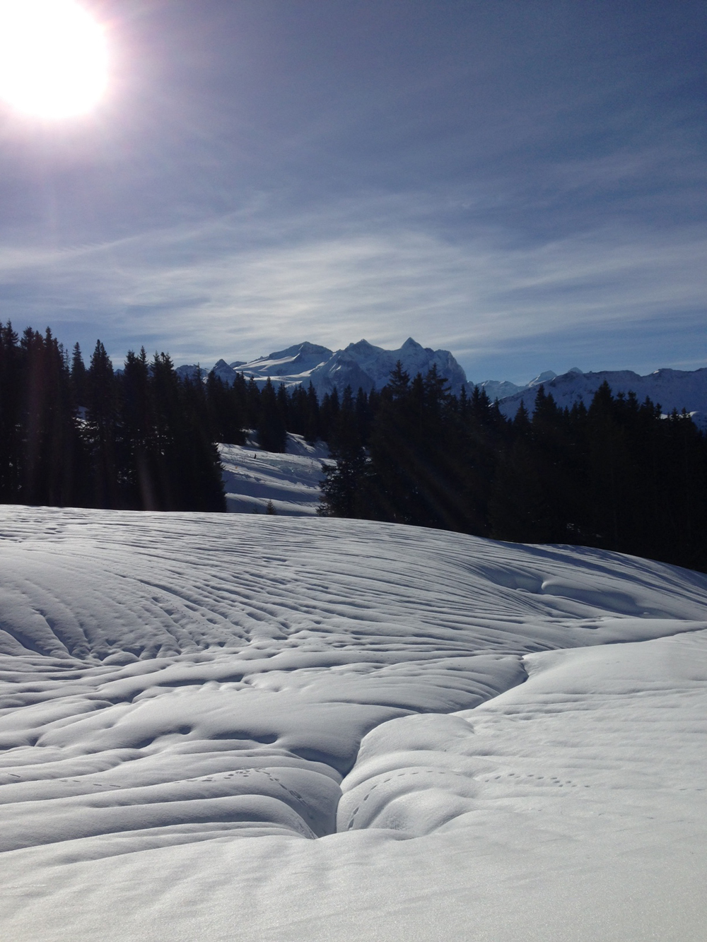 Skitag2018_JK_20180124_img_1057