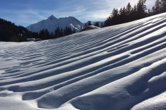 21_Skitag2018_RG_IMG_5733