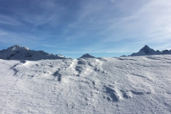 22_Skitag2018_RG_IMG_5742